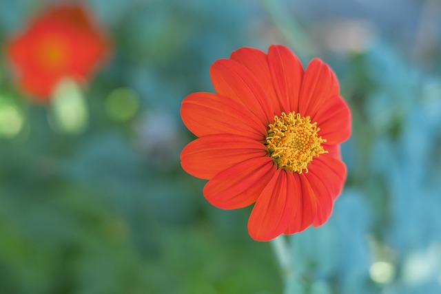 可参考的框 可参考的框