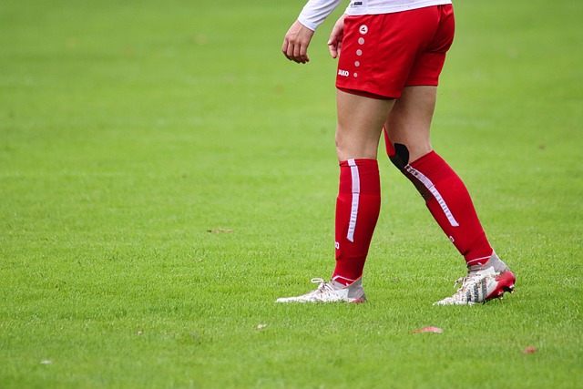 與格德斯的 與格德斯的