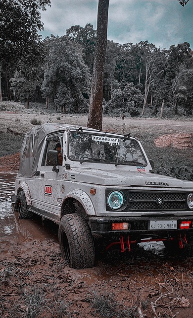 名前三的选 名前三的选