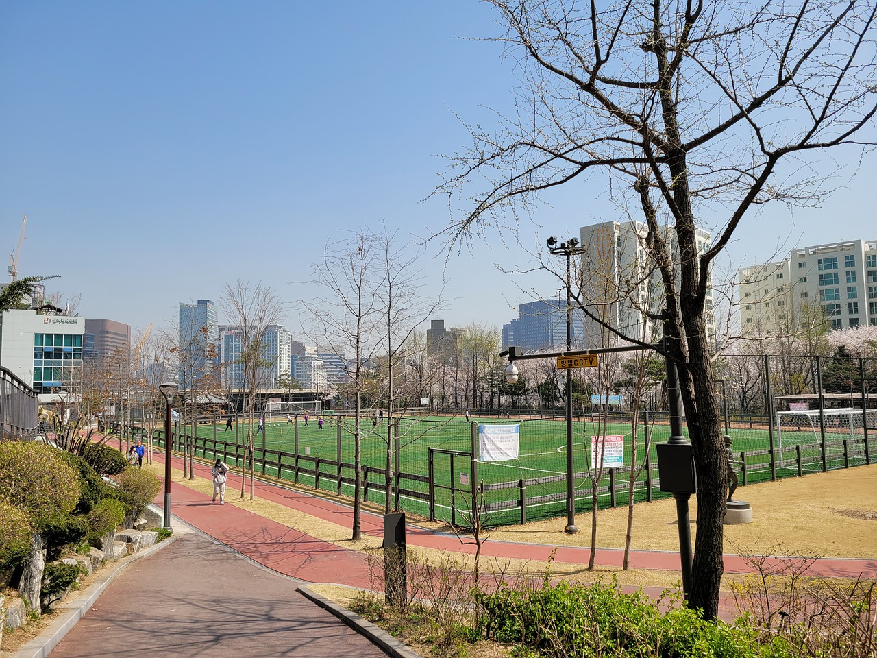 大罗还是强 大罗还是强