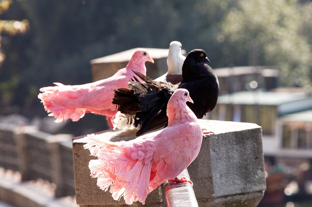 深入到学生 深入到学生