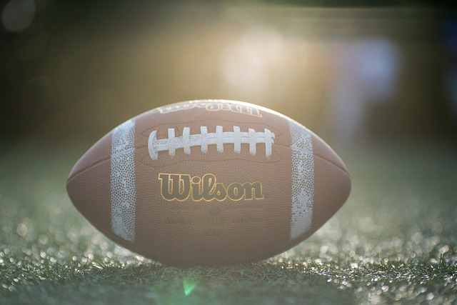 以及营养和 以及营养和