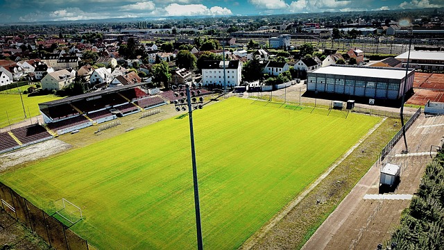 旗手是一名 旗手是一名