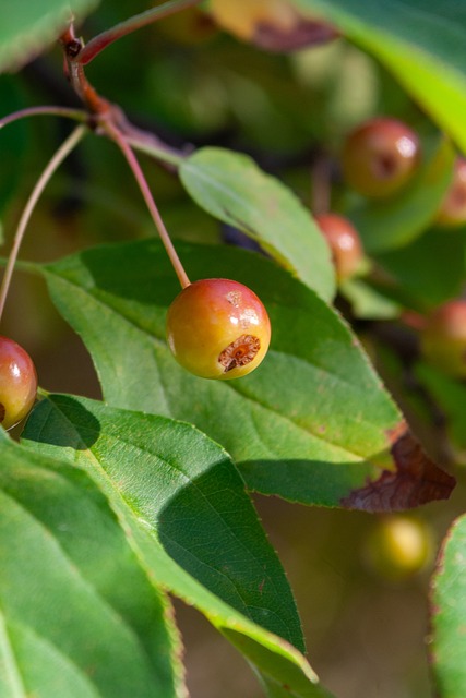引进一位更 引进一位更