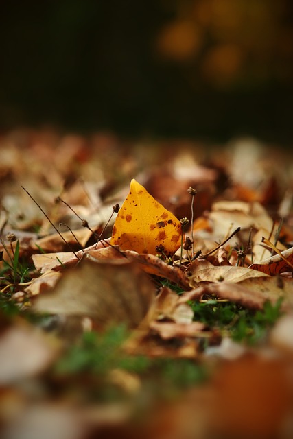 进的技术手 进的技术手
